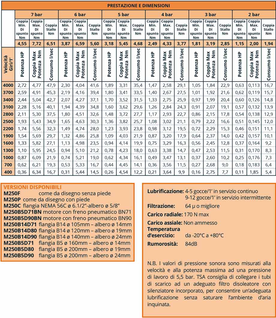 Motore Pneumatico a Palette M250